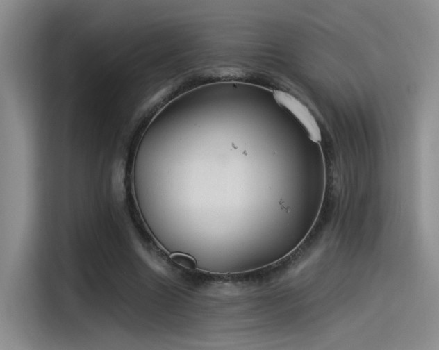 X0000115260538200911061241