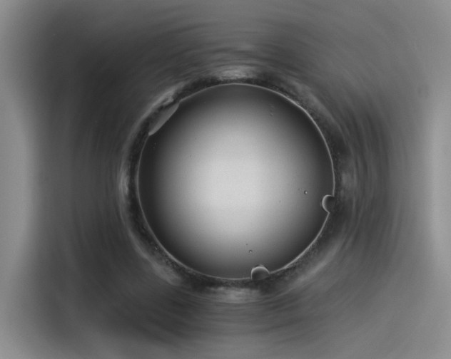 X0000115260539200911061241