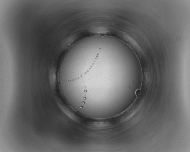 X0000115260541200911061241