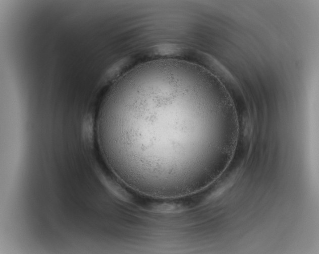 X0000115260542200911061241