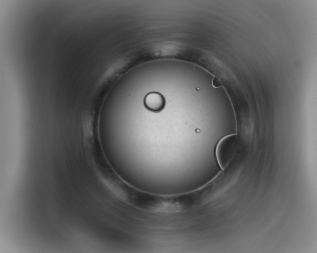 X0000115260543200911061241