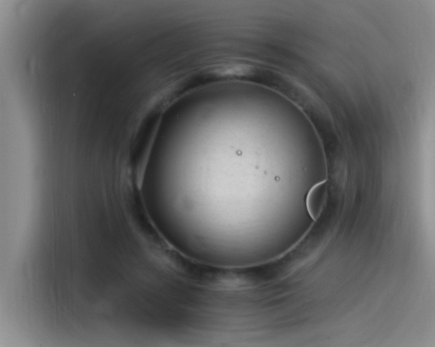 X0000115260547200911061241