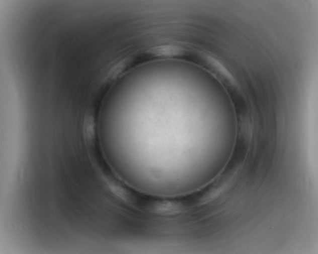 X0000115260549200911061241