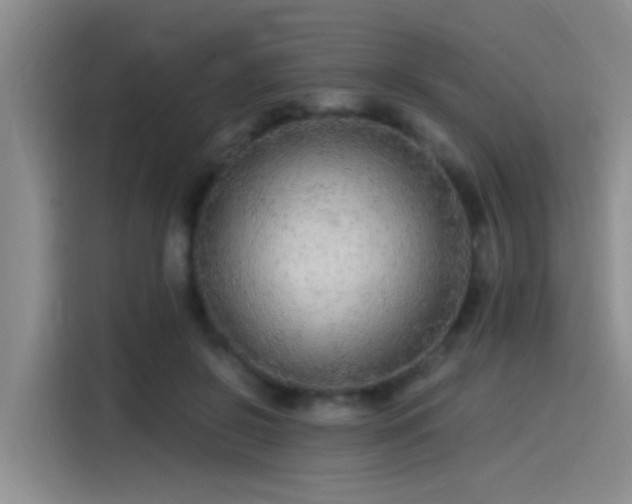 X0000115260550200911061241