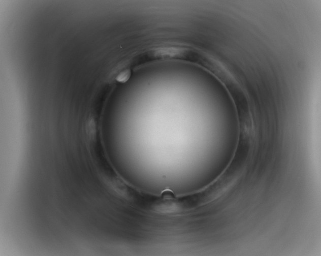 X0000115260551200911061241