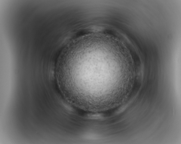 X0000115260553200911061241