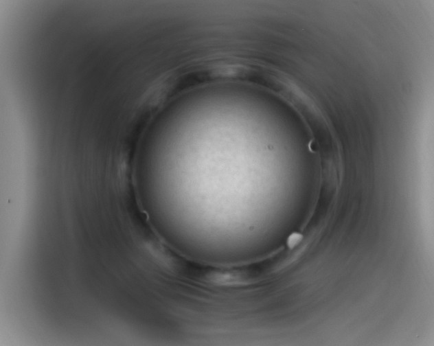 X0000115260557200911061241