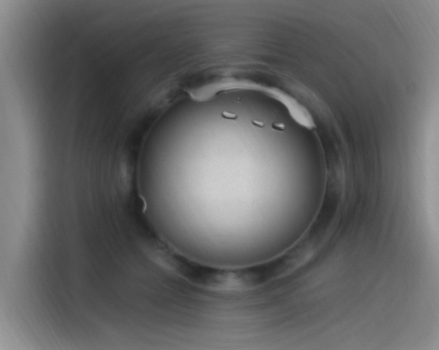 X0000115260558200911061241