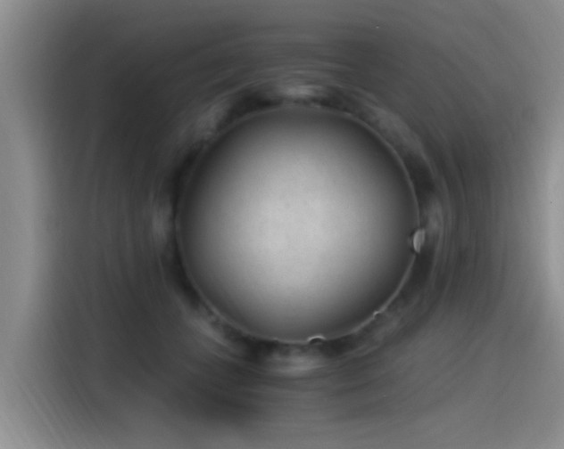 X0000115260559200911061241