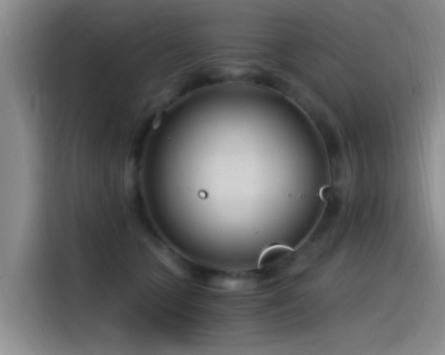 X0000115260563200911061241