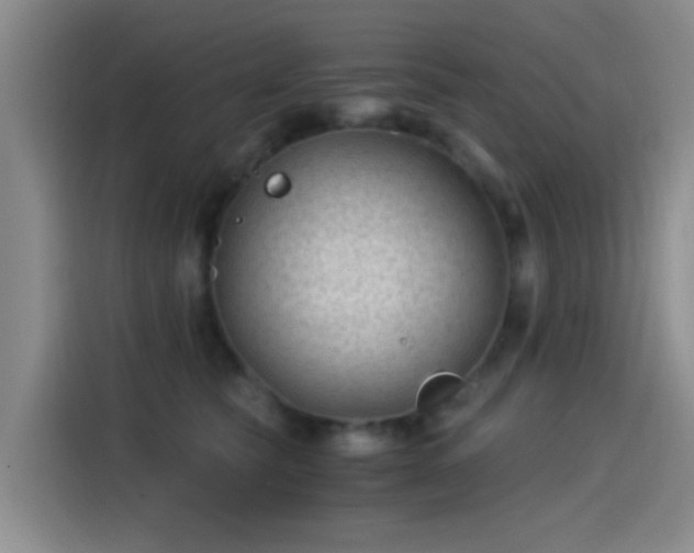 X0000115260565200911061241