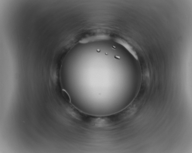 X0000115260566200911061241