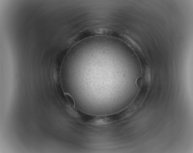 X0000115260569200911061241