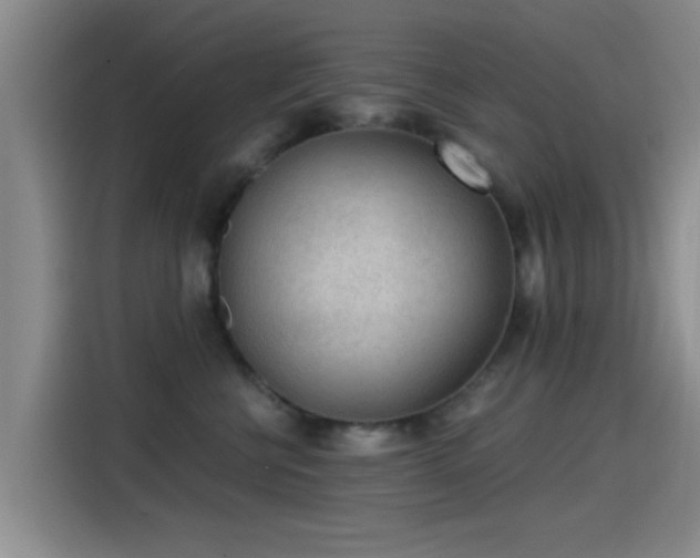 X0000115260570200911061241
