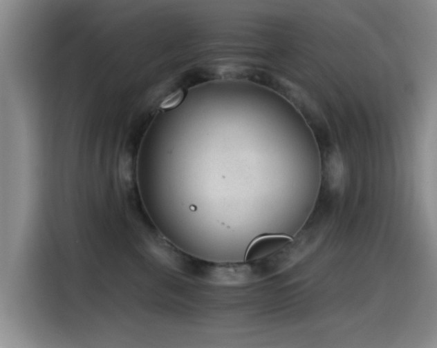 X0000115260571200911061241