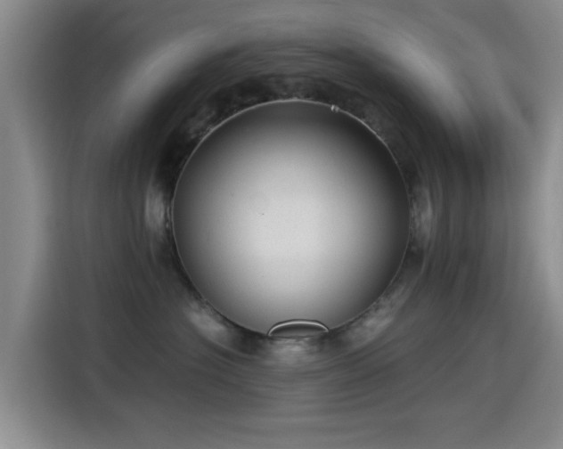 X0000115260574200911061241
