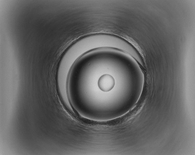 X0000115260577200911061240