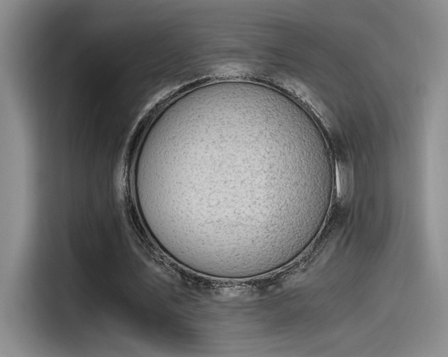 X0000115260579200911061240