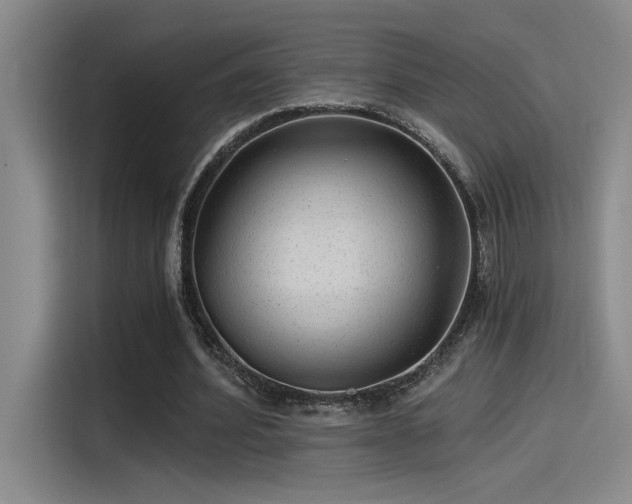X0000115260580200911061240