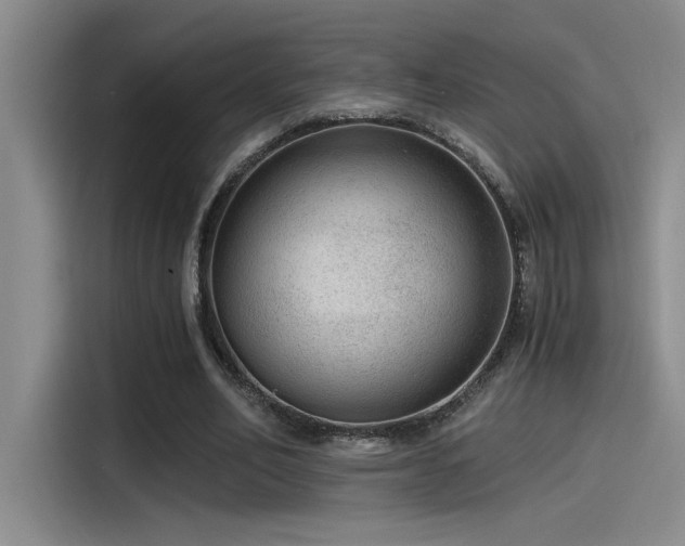 X0000115260582200911061240