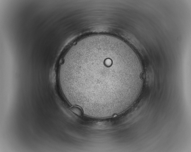 X0000115260584200911061240