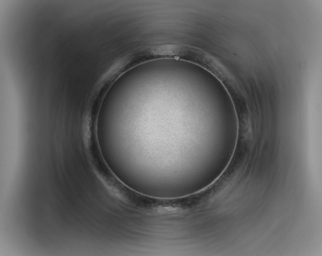 X0000115260586200911061240