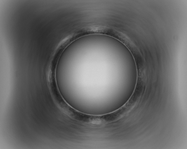 X0000115260587200911061240