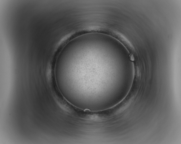 X0000115260588200911061240