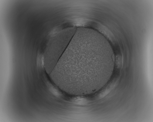 X0000115260589200911061240