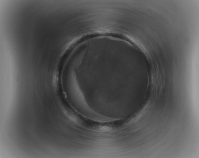 X0000115260592200911061240