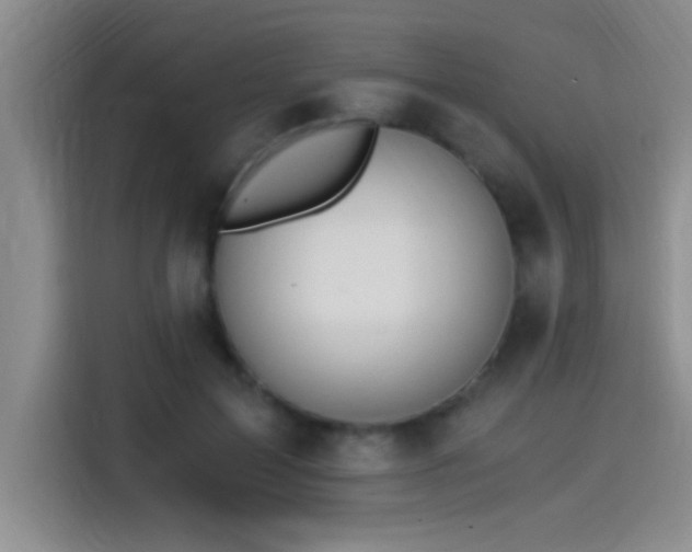 X0000115260599200911061240