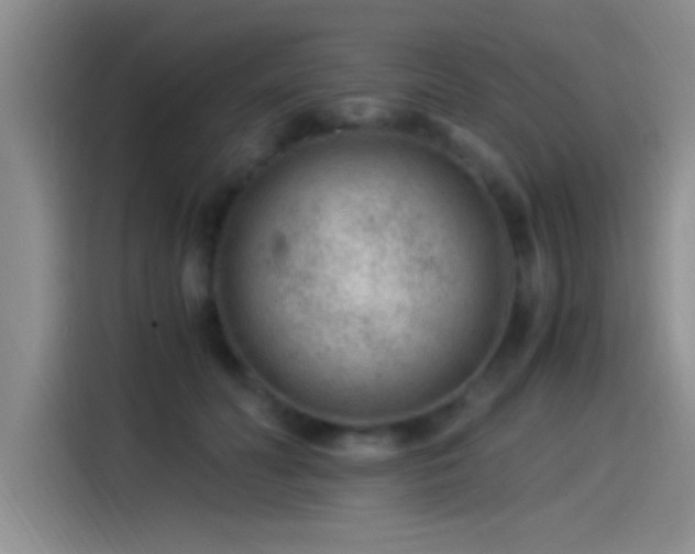 X0000115260606200911061240