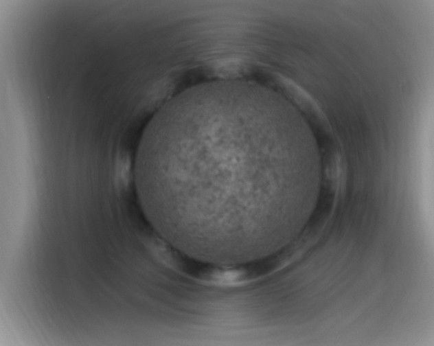 X0000115260610200911061240