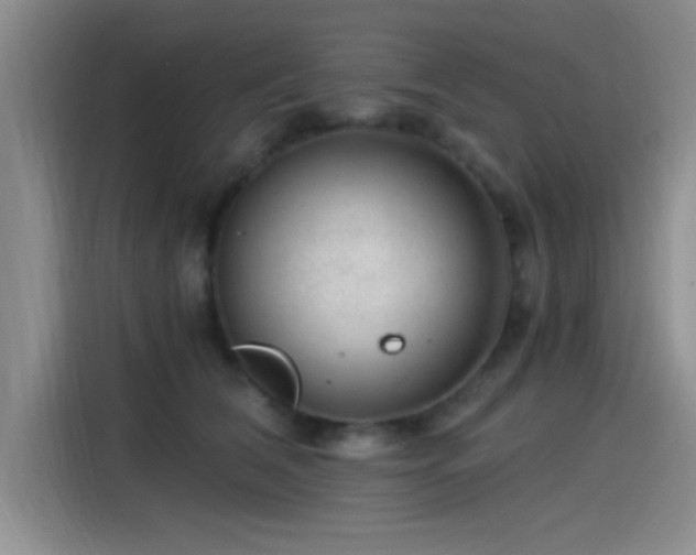 X0000115260612200911061240