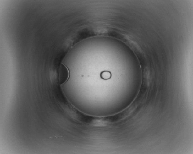 X0000115260614200911061240