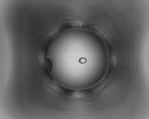 X0000115260616200911061240