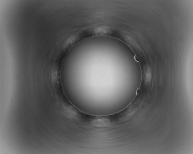 X0000115260619200911061240