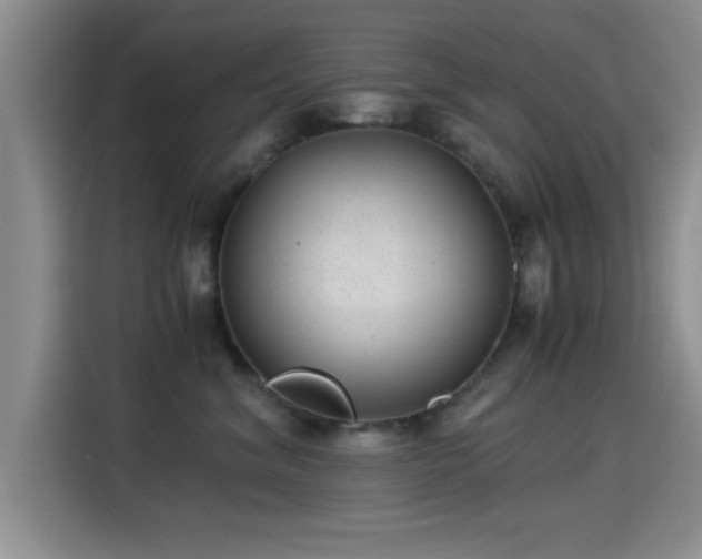X0000115260620200911061240