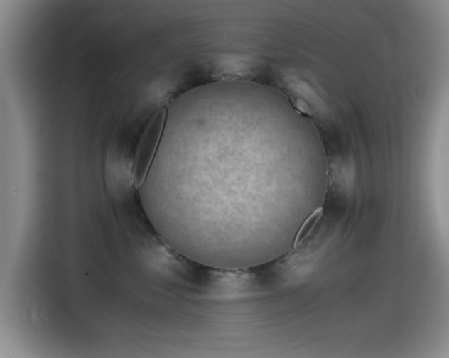 X0000115260621200911061240