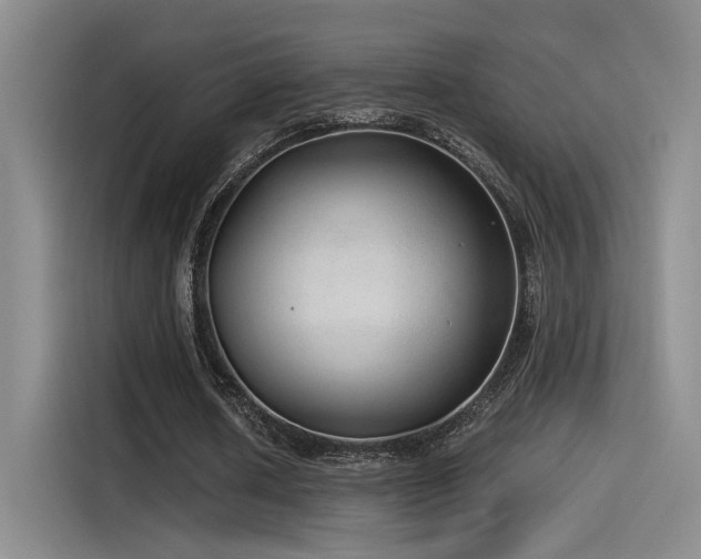 X0000115260626200911061239