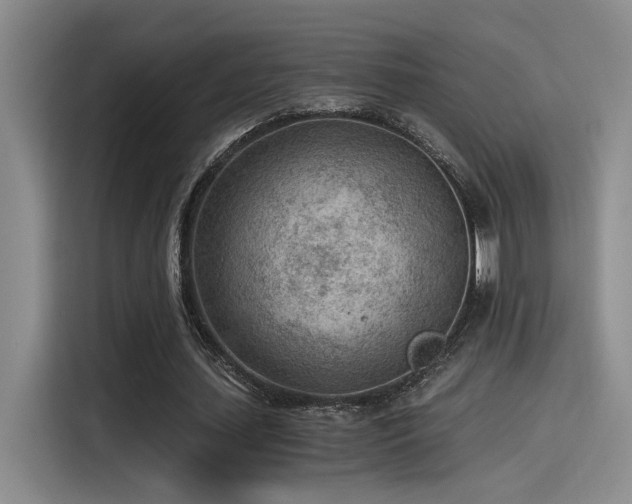 X0000115260627200911061239