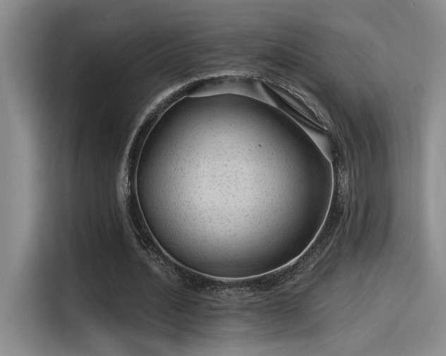 X0000115260628200911061239