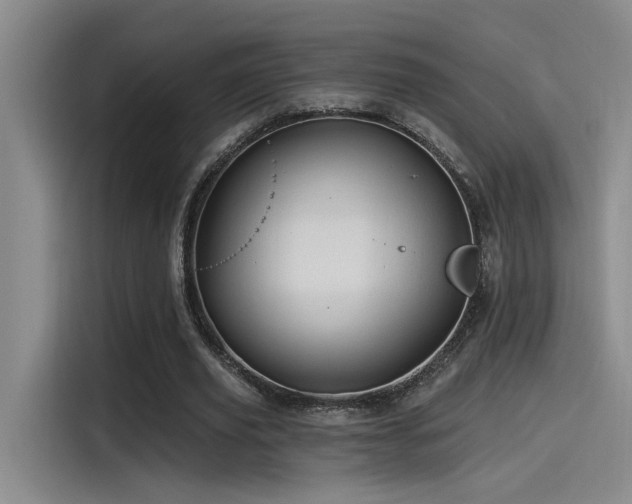 X0000115260629200911061239