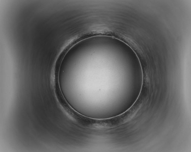X0000115260630200911061239