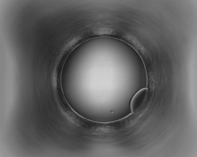 X0000115260631200911061239