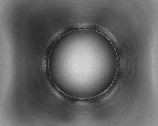 X0000115260633200911061239