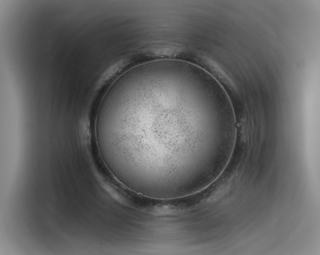 X0000115260634200911061239