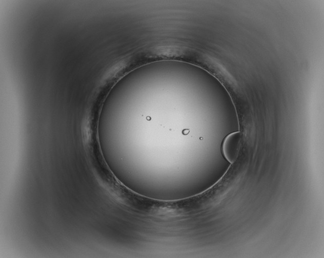 X0000115260635200911061239