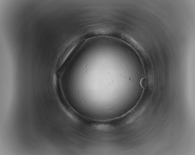 X0000115260637200911061239