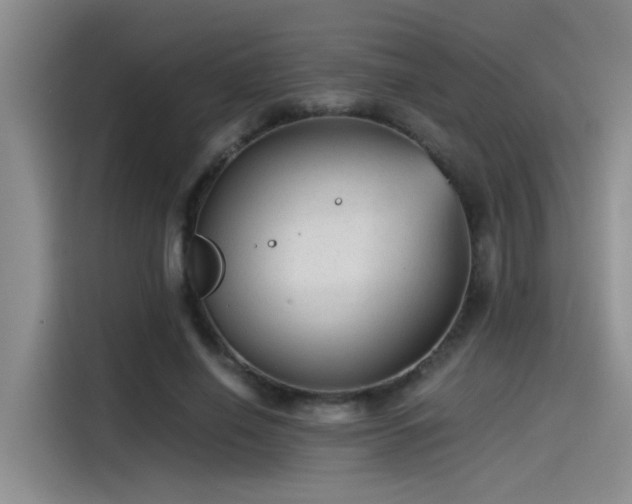 X0000115260638200911061239